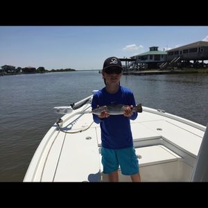 Meet your Posher, Lee